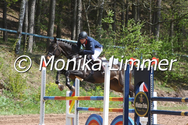 004M2046_Queens Parc_Punkte L m. Joker.JPG